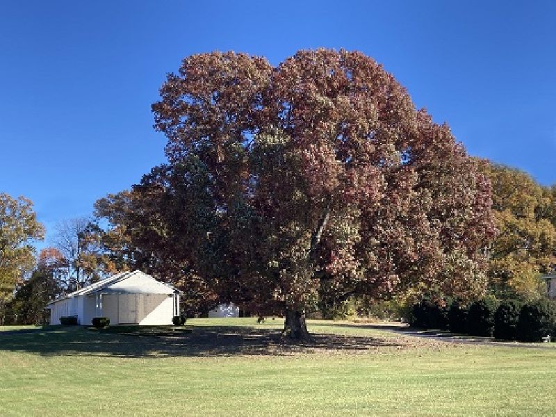 Good Home Primitive Baptist Church - VA